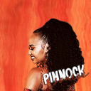 pinnocksource avatar