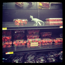 pinotgrigioonastring avatar