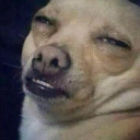 pintsizedbundleofsarcasm avatar