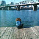 pipi-dandelion avatar