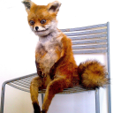 pippenpadlopsicopolisthethird avatar