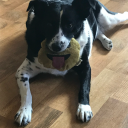 pipperoni32-blog avatar