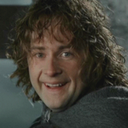 pippin-pippout avatar