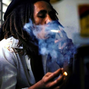 pirates-in-paris avatar