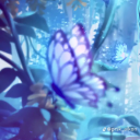 piributterfly avatar
