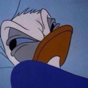 pirozhochek96 avatar