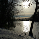 pisces-sun-aquarius-moon avatar