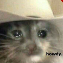 piscescrisesofficial avatar