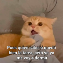 piso20nuevosentimiento avatar