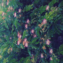 pissed-off-baby-in-a-trenchcoat avatar