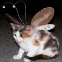 pissenchanted avatar