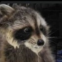 pisshammer69x2 avatar