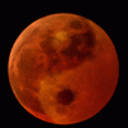 pita-is-bored avatar