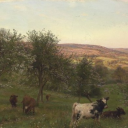 pitter0patter avatar