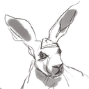 pityhare avatar
