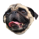pixelatedpugs avatar