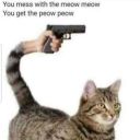 pixelatedsupermix avatar