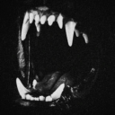 pixieofthesun avatar