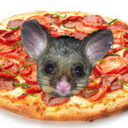 pizzapossum avatar