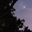 pjo-tvs-version avatar