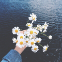 placedelatour avatar