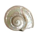 placermistico avatar