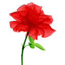 placidiappunti avatar