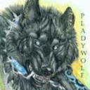 pladywolf avatar