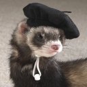 plaguecarryingferret avatar