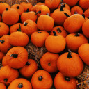 plaidshirtdays avatar