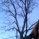 plainwhitte-blog avatar