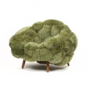 planetary-ava avatar