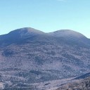 planetarygrow avatar