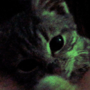 planetmidnightdreams avatar