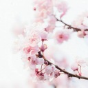 planets-n-stars avatar