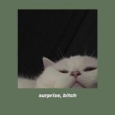 plannedyourobsolescence avatar