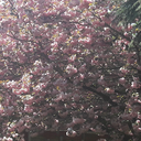 planningto-flail avatar