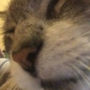 plant-loving-stranger avatar