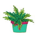 plantaesthetictm avatar