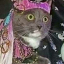 plantbasegirl avatar