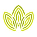 plantcareforbeginners avatar