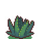 plantfusions avatar