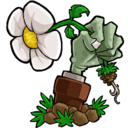 plants-vs-zombies avatar