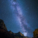 plantsandstuffhere avatar