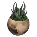plantsforpluto avatar