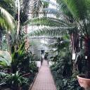 plantsplantsandplants avatar