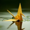 plastic--duck avatar