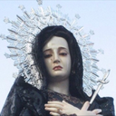 plasticflcwcrs avatar