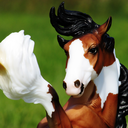 plastichorsehair avatar