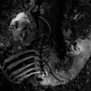 plasticjesussantaclaus avatar